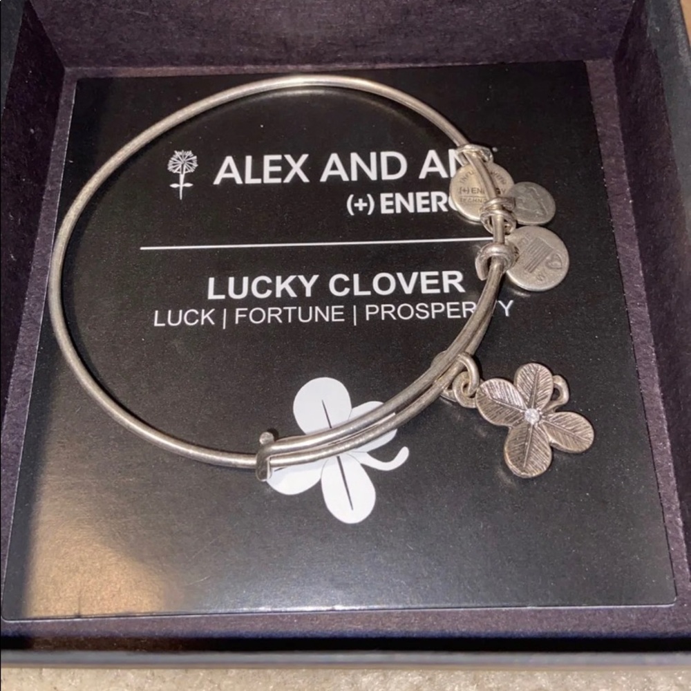 Alex and Ani Lucky Charm Bracelet